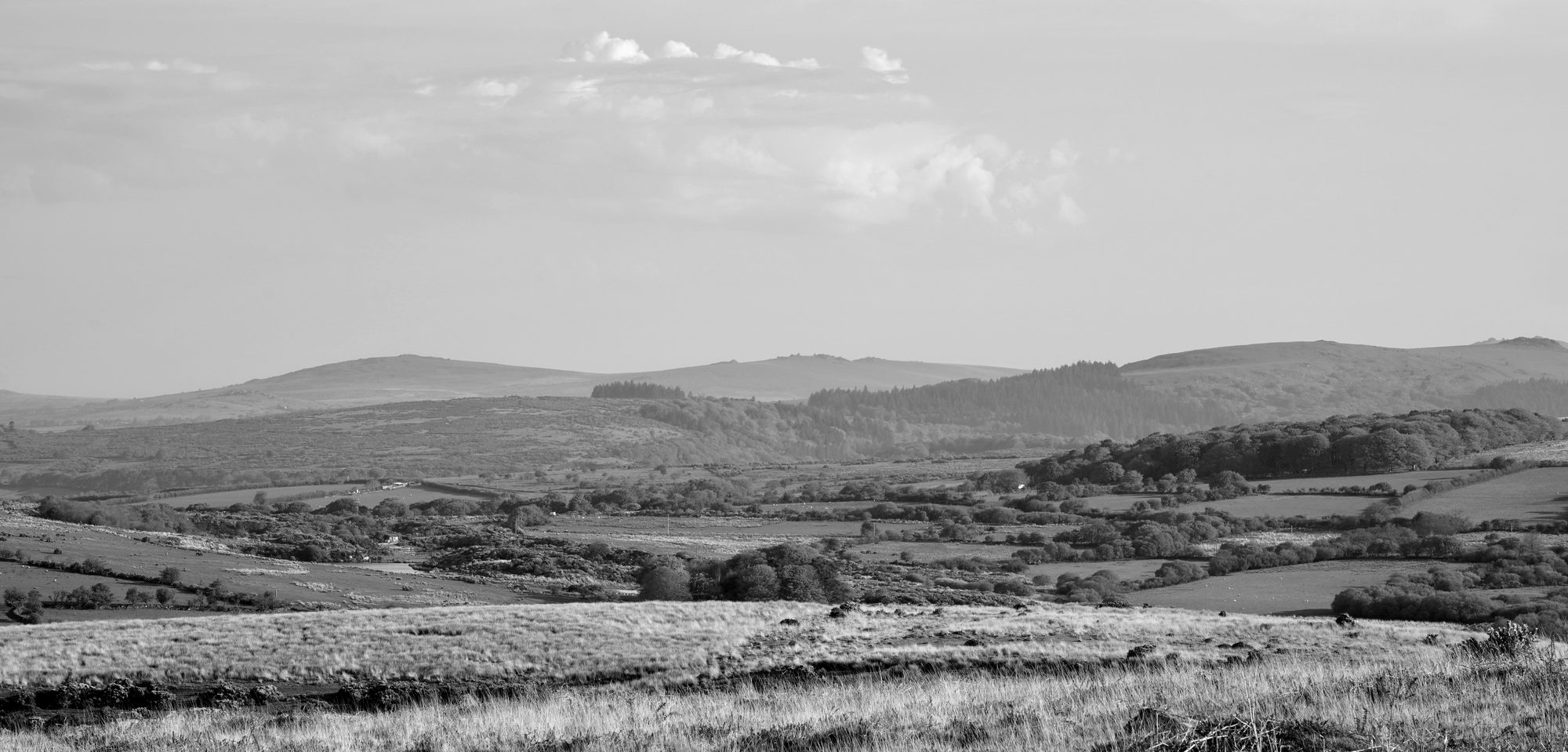 Dartmoor moorland landscape, the company is based in Devon
